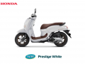 Honda Scoopy